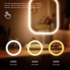 Vanity Mirror Three Colors LED Light